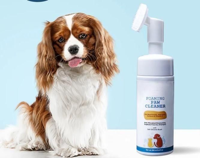 PET ACCESSORIES